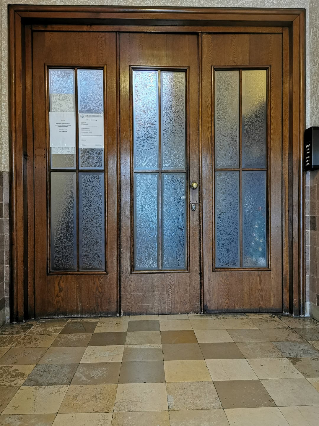 Деревянные двери с декоративным стеклом, входные двери, офисные или жилые конструкции, качество и надежность, стильный дизайн, современные дверные решения.